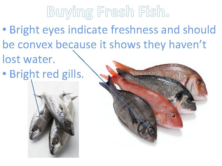 Buying Fresh Fish. • Bright eyes indicate freshness and should be convex because it