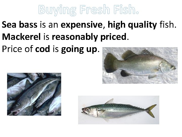 Buying Fresh Fish. Sea bass is an expensive, high quality fish. Mackerel is reasonably