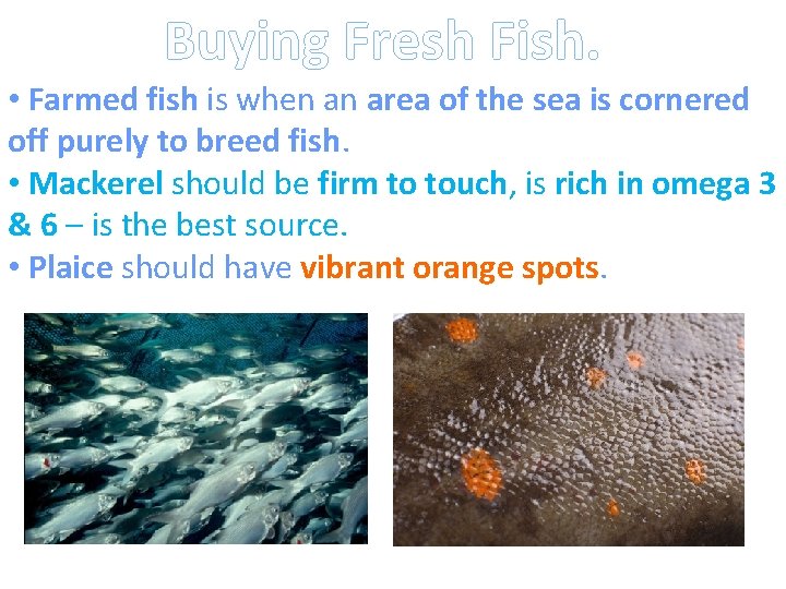 Buying Fresh Fish. • Farmed fish is when an area of the sea is