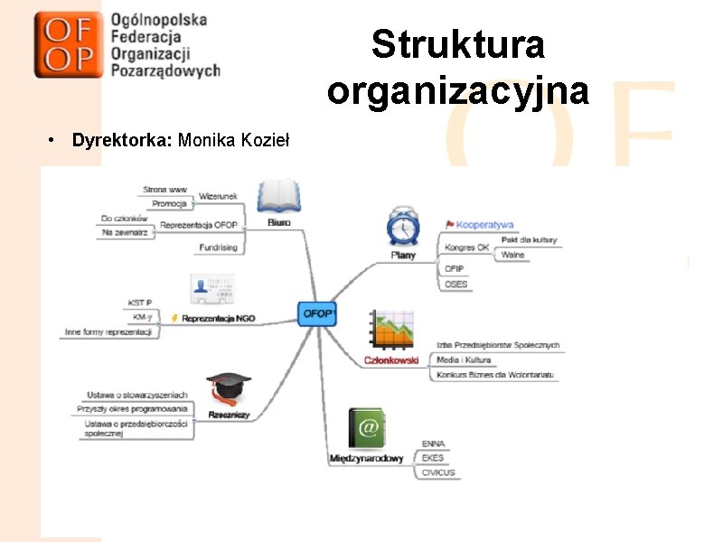 Struktura organizacyjna • Dyrektorka: Monika Kozieł 11. 05. 11 Walne Zebranie Członków OFOP 12