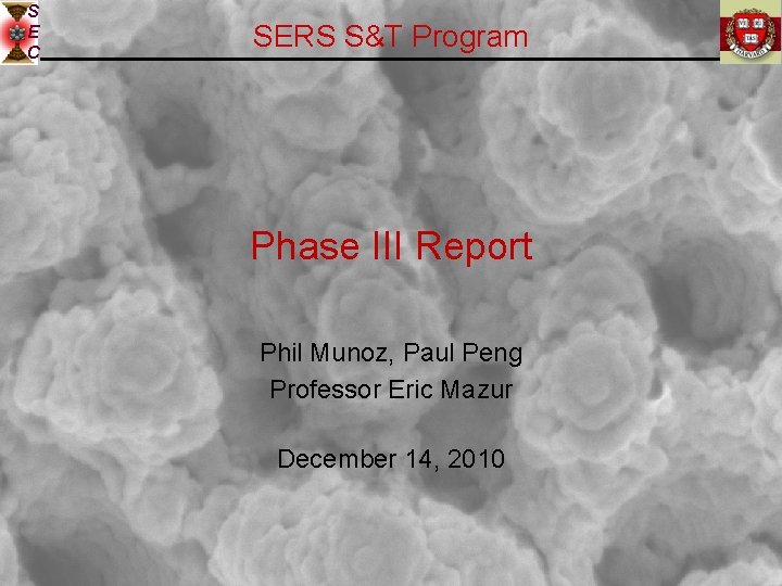 S E C SERS S&T Program Phase III Report Phil Munoz, Paul Peng Professor