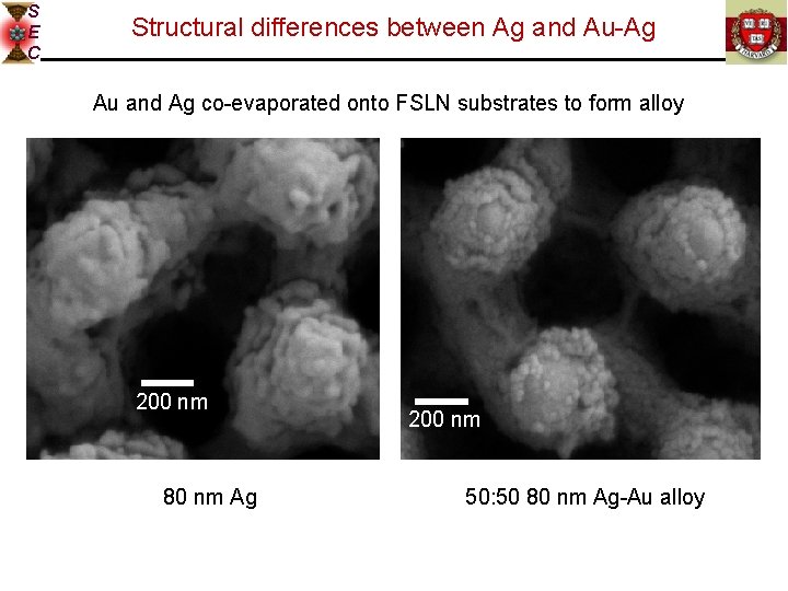 S E C Structural differences between Ag and Au-Ag Au and Ag co-evaporated onto