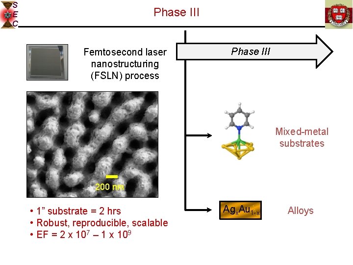 S E C Phase III Femtosecond laser nanostructuring (FSLN) process Phase III Mixed-metal substrates