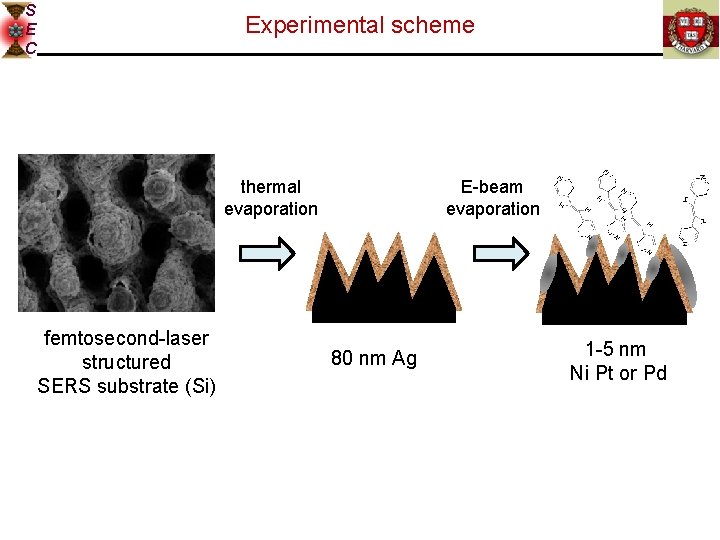 S E C Experimental scheme thermal evaporation femtosecond-laser structured SERS substrate (Si) E-beam evaporation