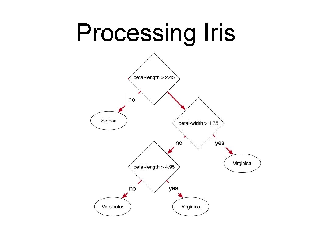 Processing Iris 