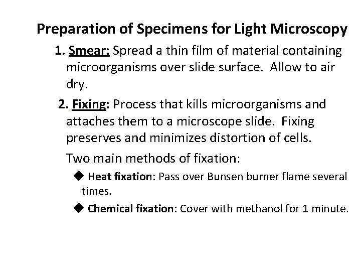 Preparation of Specimens for Light Microscopy 1. Smear: Spread a thin film of material