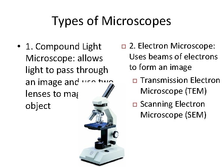 Types of Microscopes • 1. Compound Light Microscope: allows light to pass through an
