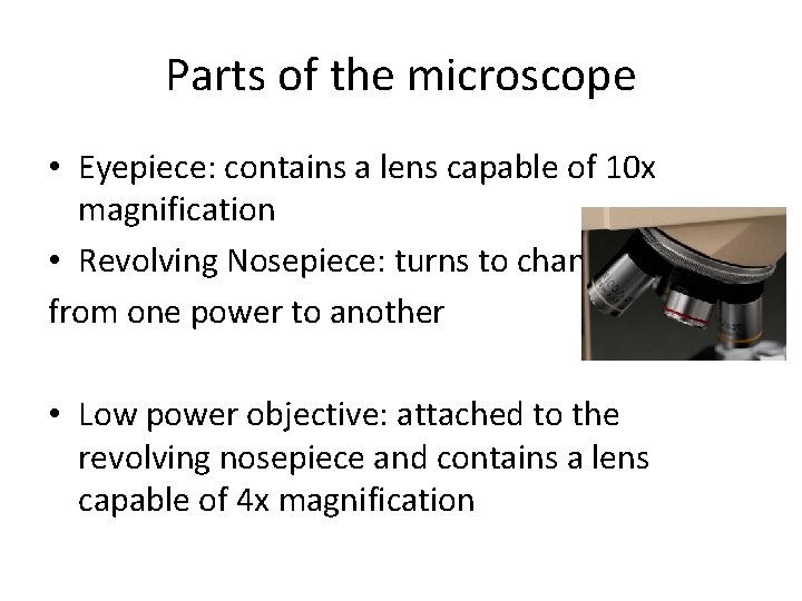 Parts of the microscope • Eyepiece: contains a lens capable of 10 x magnification