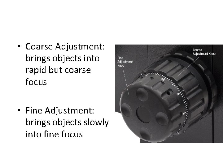  • Coarse Adjustment: brings objects into rapid but coarse focus • Fine Adjustment: