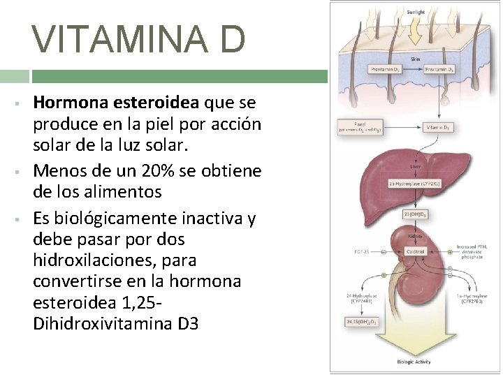 VITAMINA D § § § Hormona esteroidea que se produce en la piel por