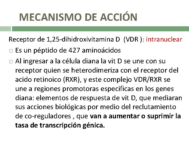 MECANISMO DE ACCIÓN Receptor de 1, 25 -dihidroxivitamina D (VDR ): intranuclear Es un