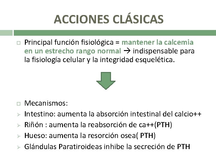 ACCIONES CLÁSICAS Ø Ø Principal función fisiológica = mantener la calcemia en un estrecho