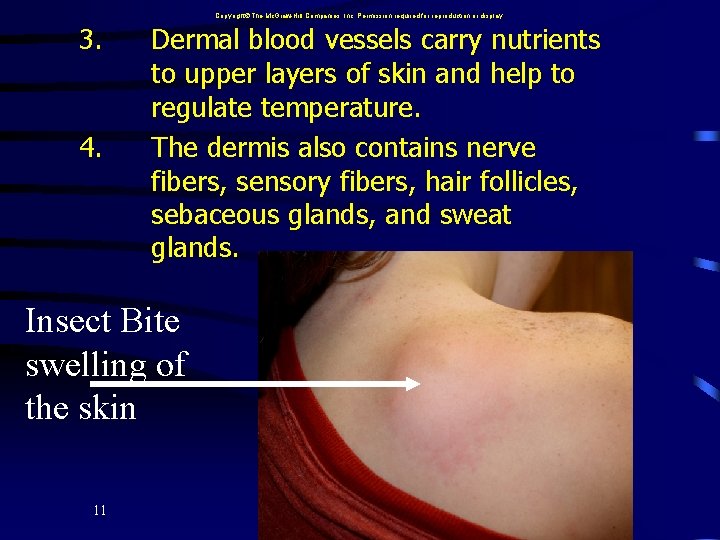 Copyright The Mc. Graw-Hill Companies, Inc. Permission required for reproduction or display. 3. 4.