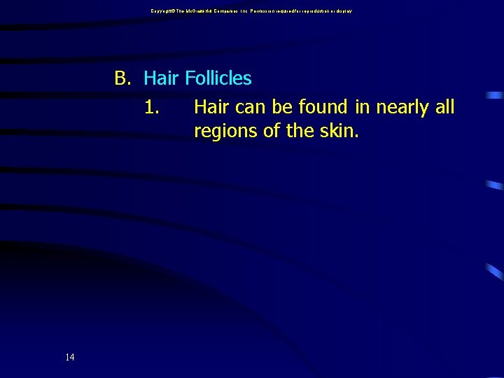 Copyright The Mc. Graw-Hill Companies, Inc. Permission required for reproduction or display. B. Hair