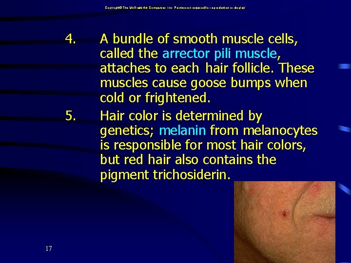 Copyright The Mc. Graw-Hill Companies, Inc. Permission required for reproduction or display. 4. 5.