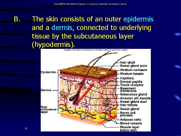 Copyright The Mc. Graw-Hill Companies, Inc. Permission required for reproduction or display. B. The