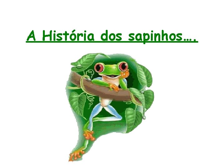 A História dos sapinhos…. 