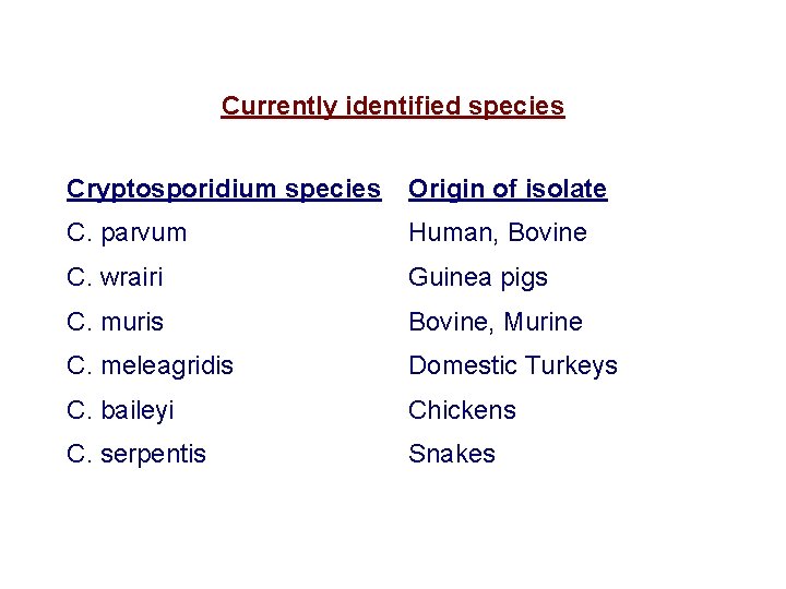 Currently identified species Cryptosporidium species Origin of isolate C. parvum Human, Bovine C. wrairi