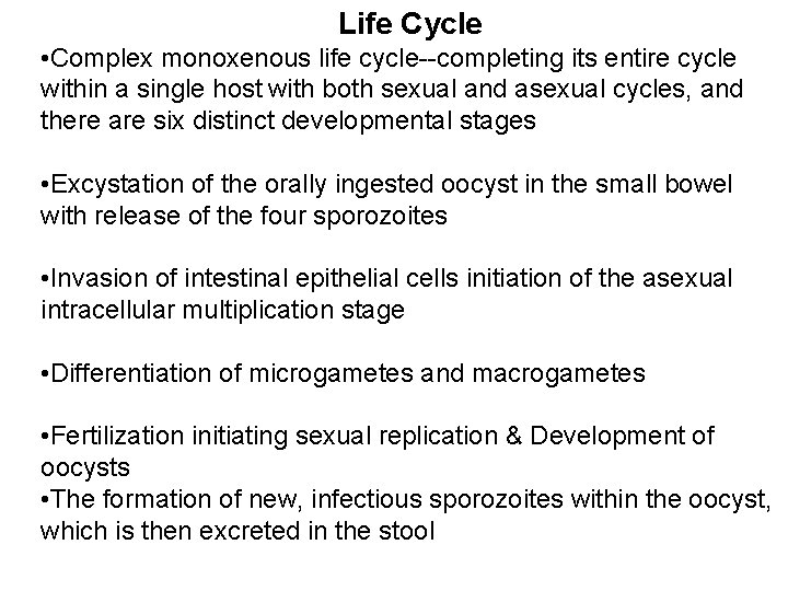 Life Cycle • Complex monoxenous life cycle--completing its entire cycle within a single host