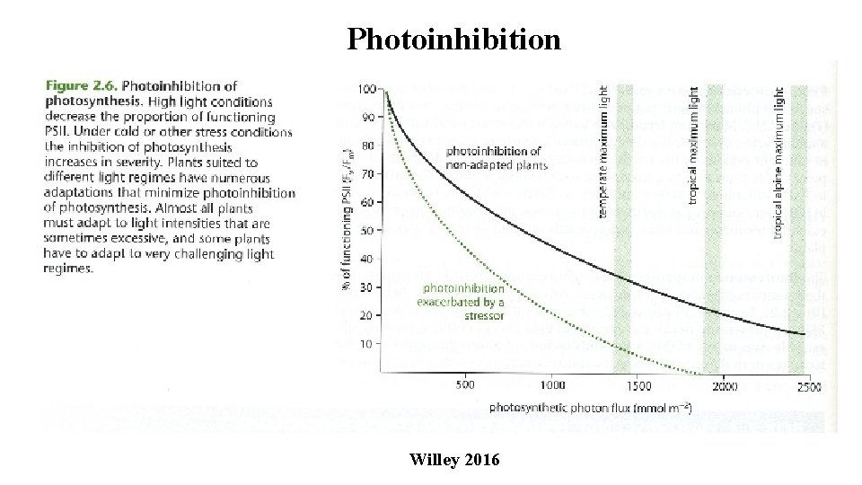 Photoinhibition Willey 2016 
