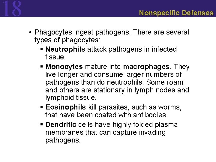 18 Nonspecific Defenses • Phagocytes ingest pathogens. There are several types of phagocytes: §