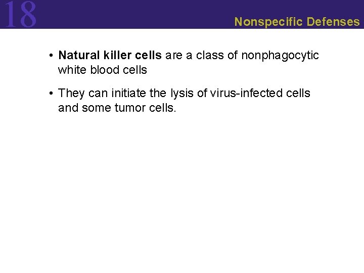 18 Nonspecific Defenses • Natural killer cells are a class of nonphagocytic white blood