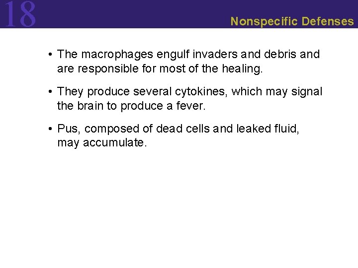 18 Nonspecific Defenses • The macrophages engulf invaders and debris and are responsible for