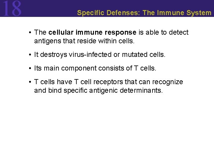18 Specific Defenses: The Immune System • The cellular immune response is able to
