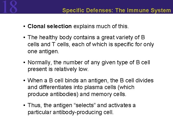 18 Specific Defenses: The Immune System • Clonal selection explains much of this. •