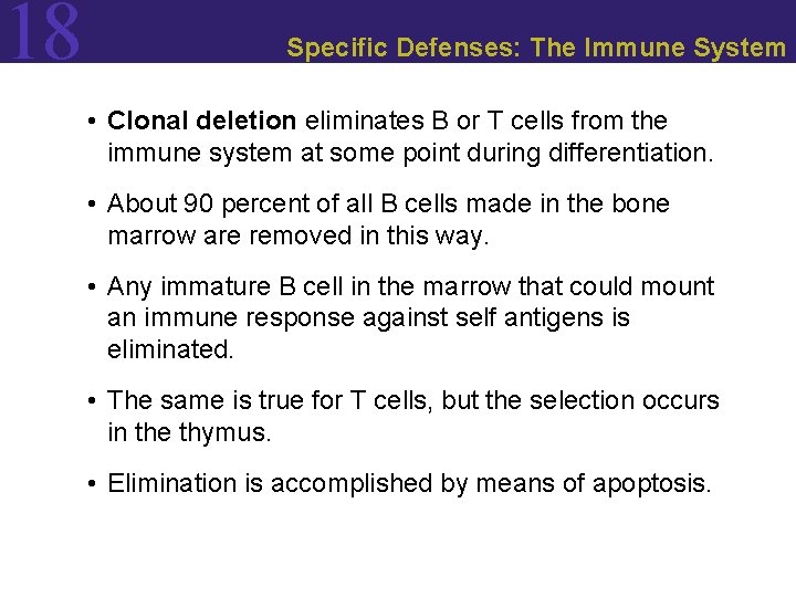 18 Specific Defenses: The Immune System • Clonal deletion eliminates B or T cells