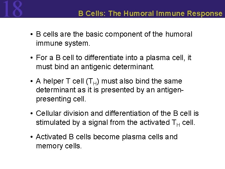 18 B Cells: The Humoral Immune Response • B cells are the basic component