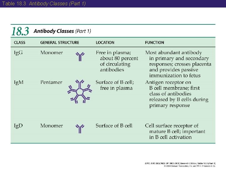 Table 18. 3 Antibody Classes (Part 1) 