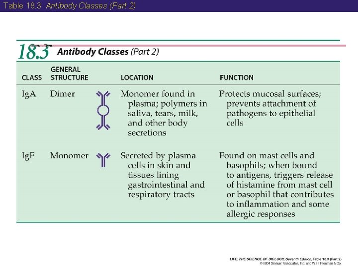 Table 18. 3 Antibody Classes (Part 2) 