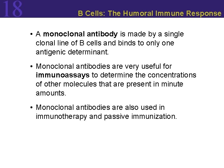 18 B Cells: The Humoral Immune Response • A monoclonal antibody is made by