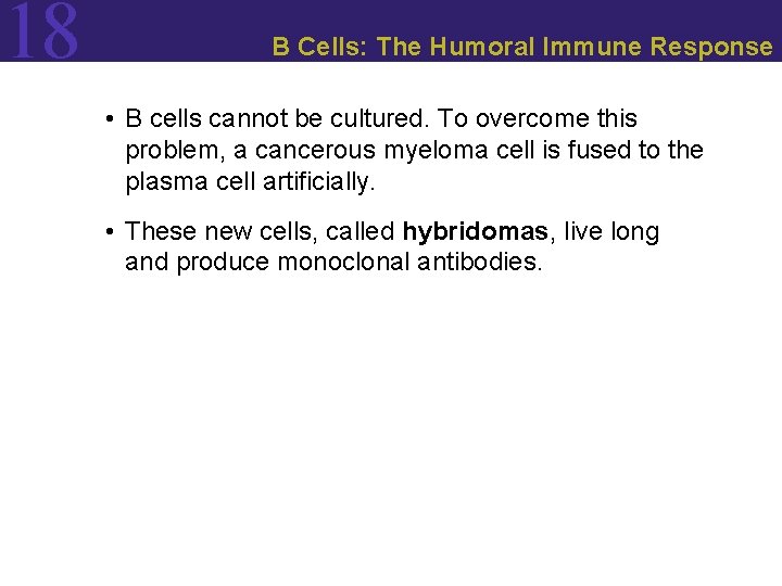 18 B Cells: The Humoral Immune Response • B cells cannot be cultured. To