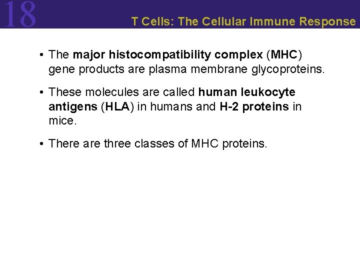 18 T Cells: The Cellular Immune Response • The major histocompatibility complex (MHC) gene