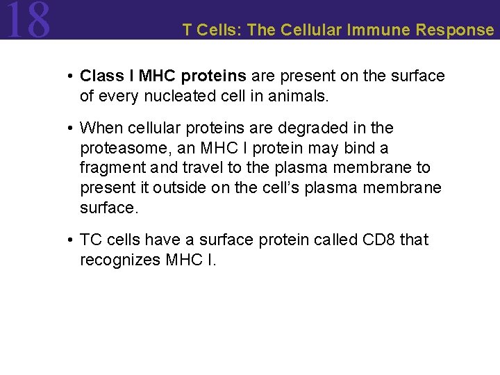 18 T Cells: The Cellular Immune Response • Class I MHC proteins are present