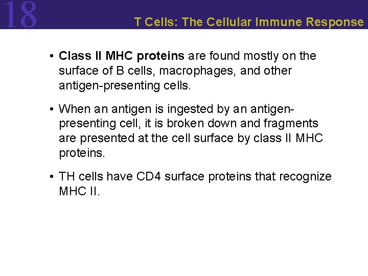 18 T Cells: The Cellular Immune Response • Class II MHC proteins are found