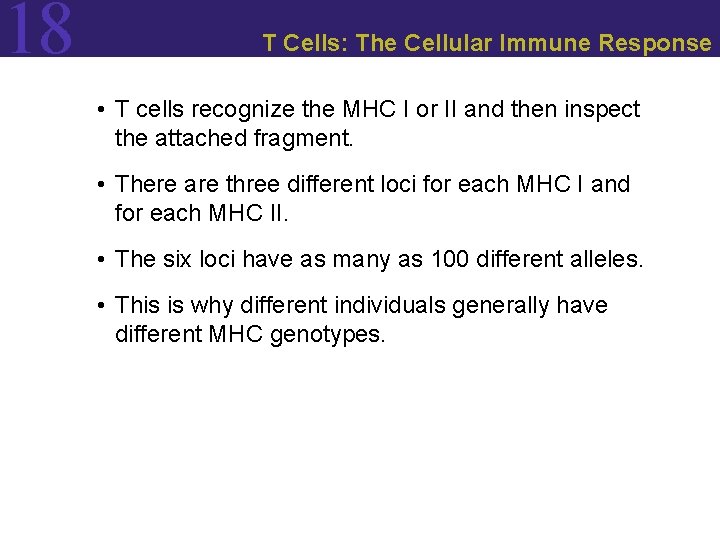18 T Cells: The Cellular Immune Response • T cells recognize the MHC I