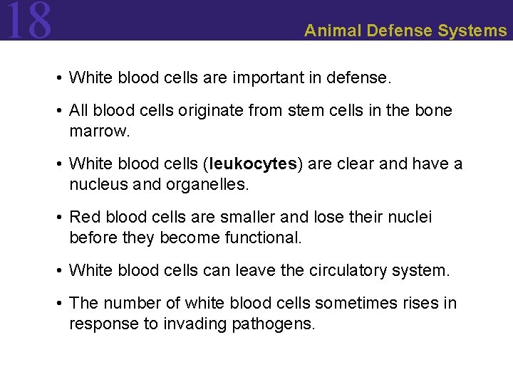18 Animal Defense Systems • White blood cells are important in defense. • All