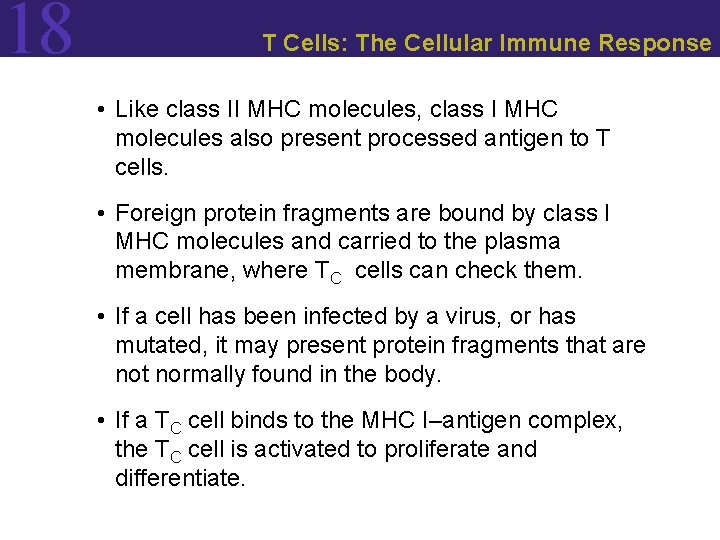18 T Cells: The Cellular Immune Response • Like class II MHC molecules, class