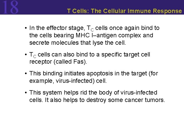 18 T Cells: The Cellular Immune Response • In the effector stage, TC cells