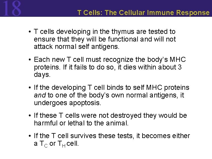 18 T Cells: The Cellular Immune Response • T cells developing in the thymus