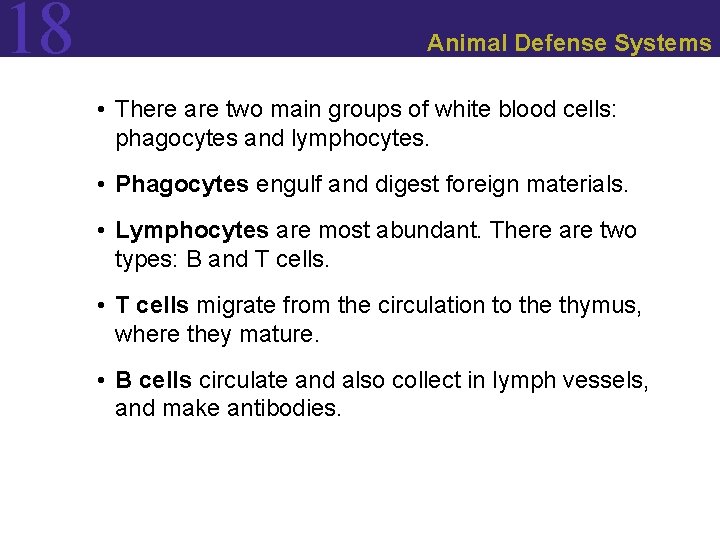 18 Animal Defense Systems • There are two main groups of white blood cells: