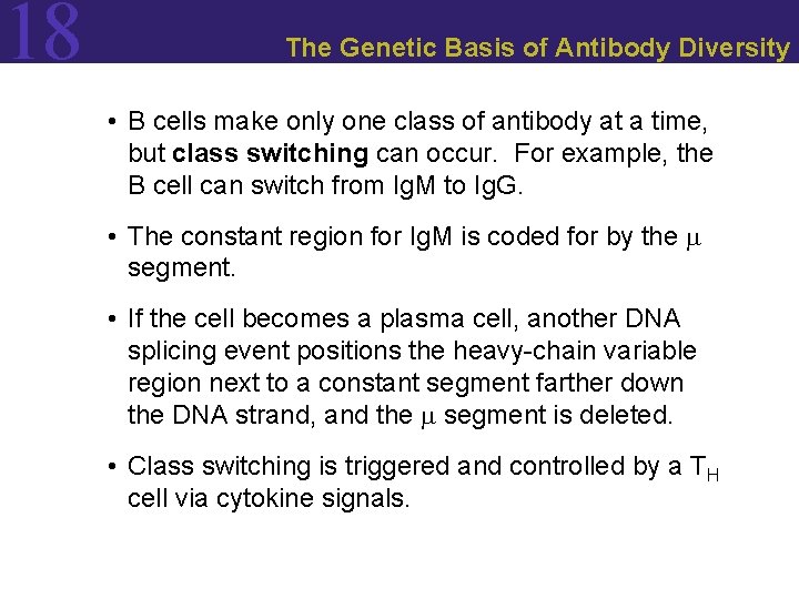 18 The Genetic Basis of Antibody Diversity • B cells make only one class