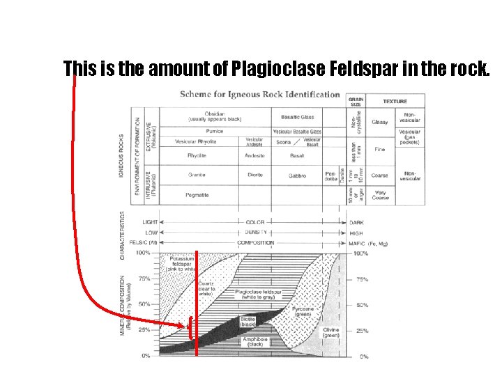 This is the amount of Plagioclase Feldspar in the rock. 
