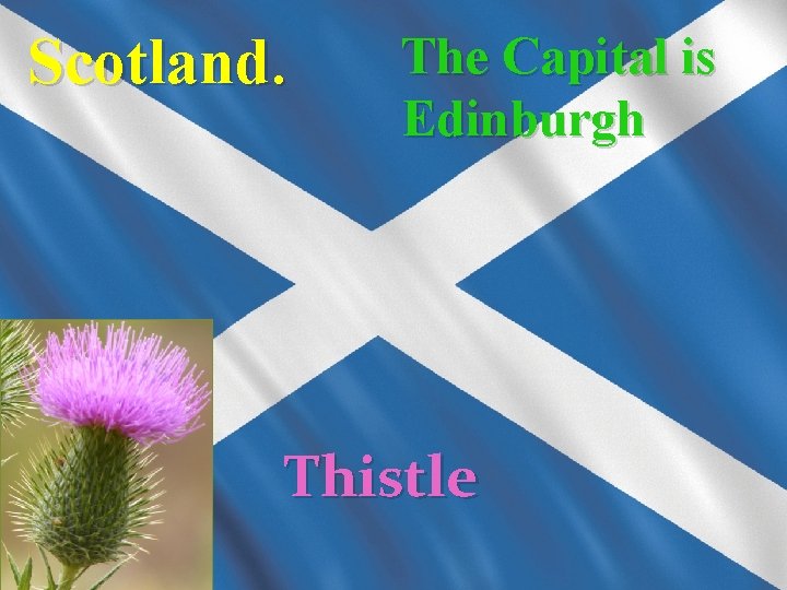 Scotland. The Capital is Edinburgh Thistle 