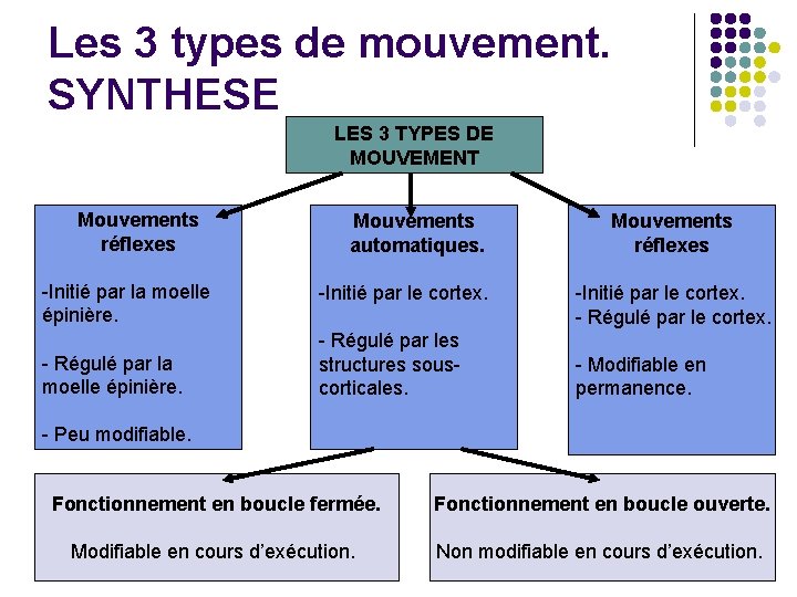 Les 3 types de mouvement. SYNTHESE LES 3 TYPES DE MOUVEMENT Mouvements réflexes -Initié
