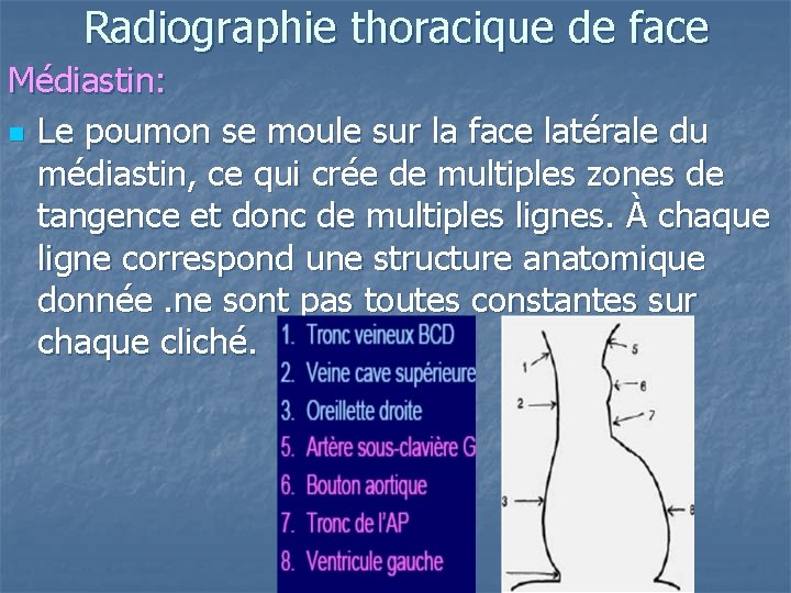 Radiographie thoracique de face Médiastin: n Le poumon se moule sur la face latérale Radiographie thoracique de face Médiastin: n Le poumon se moule sur la face latérale