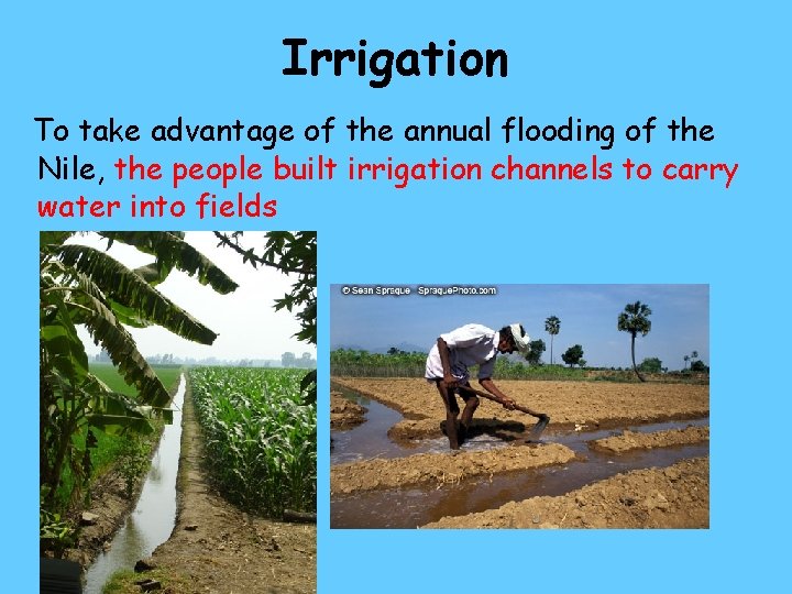 Irrigation To take advantage of the annual flooding of the Nile, the people built Irrigation To take advantage of the annual flooding of the Nile, the people built